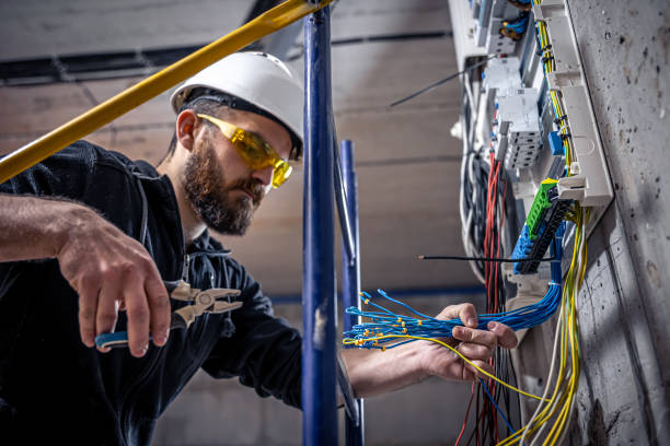 Best Electric Panel Repair  in Ol, LA